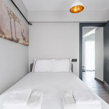 Charming Bright New 2bd1bath Wparking!#339 Daire İstanbul